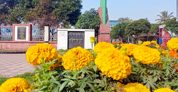 মুগ্ধতা ছড়াচ্ছে পুলিশলাইনের গাঁদা ফুলের বাহারি সৌন্দর্য