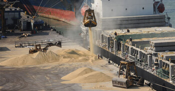 মার্কিন সয়াবিন চাষিরা হতাশ, উচ্ছ্বসিত ব্রাজিলের কৃষকরা