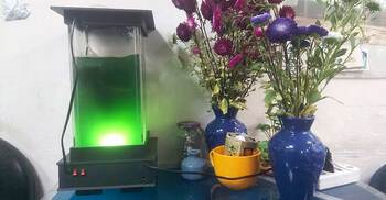 বাতাস বিশুদ্ধ করবে স্পিরুলিনা, জোগাবে মানুষের সব পুষ্টি উপাদান