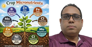 মাটিতে ভালো ফলনে অনুখাদ্যের ভূমিকা