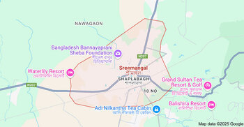 4 die after entering septic tank at Sreemangal tea garden