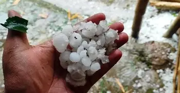 ৫ বিভাগে কালবৈশাখী ঝড়ের আভাস, পড়তে পারে শিলা