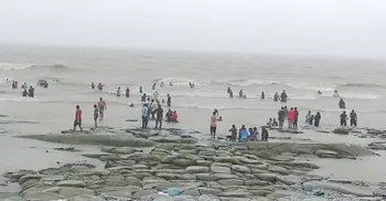 19 districts to face 60km/h storms by evening