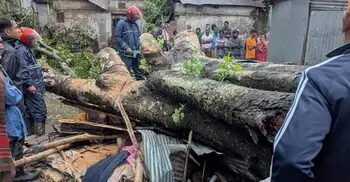 কালবৈশাখী ঝড়ে দোকানের ওপর গাছ পড়ে ব্যবসায়ীর মৃত্যু