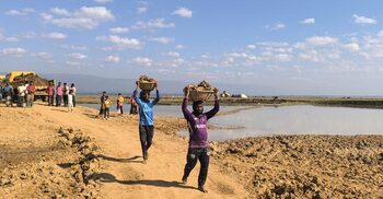 হাওরের ফসল রক্ষায় ১০৩ কোটি টাকার বাঁধ নির্মাণ শুরু