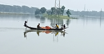 মন্ত্রী চলে যাওয়ার পরই কারেন্ট জালে ধরা হচ্ছে অবমুক্ত করা মাছ