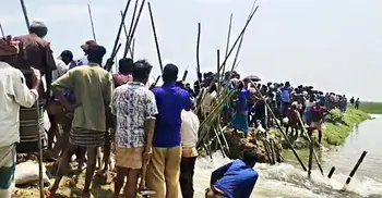 বাঁধ ভেঙে ক্ষেতে পানির ঢল, কৃষকদের চেষ্টায় রক্ষা পেলো ফসল