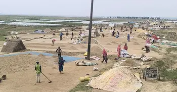 সুনামগঞ্জে প্রকৃত কৃষকরাই বাদ পড়ছে সরকারি সহায়তার তালিকা থেকে