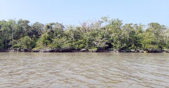 মুক্তিপণ দিয়ে ছাড়া পেয়েছেন অপহৃত ১৪ জেলে, জিম্মি ৬