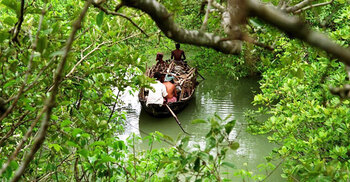 সুন্দরবনে বনদস্যুর কবলে জেলে