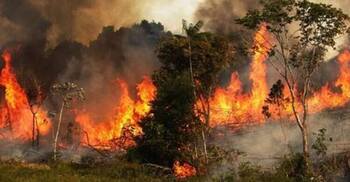 Navy joins efforts to douse fire in Sundarbans