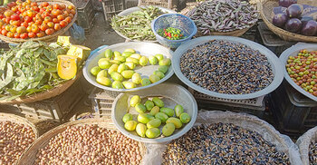 রোজার আগেই লেবুর হালি ১০০-১২০, শসার দাম দ্বিগুণ