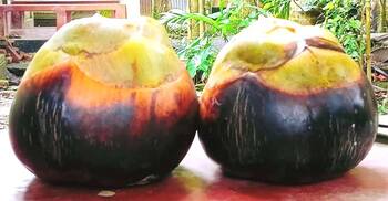 পাকা তালের ঘ্রাণ