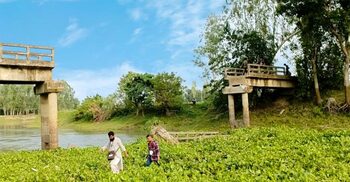 নদীতে ভেঙে পড়লো সেতু