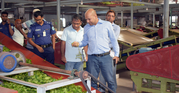 চা আইন লঙ্ঘন করায় পঞ্চগড়ে ৩ কারখানাকে জরিমানা