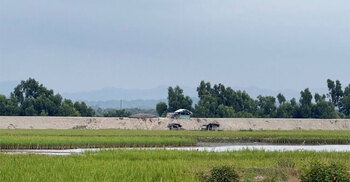 গুলি-বিস্ফোরণ আতঙ্কে টেকনাফবাসী, রাত হলেই উৎকণ্ঠা