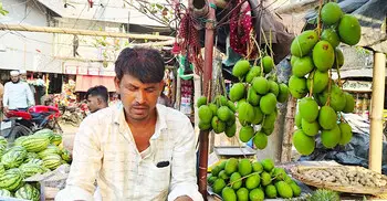 টেকনাফের বাজারে অসময়ে কাঁচা আম, কেজি ৫৫০ টাকা