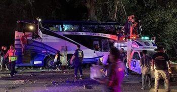 14 killed as Thai bus smashes into tree