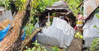 কালবৈশাখীর তাণ্ডবে লন্ডভন্ড ঠাকুরগাঁওয়ের বিভিন্ন এলাকা