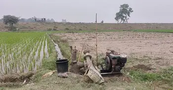 ঠাকুরগাঁওয়ে জ্বালানি তেল সংকট, সেচ নিয়ে দুশ্চিন্তায় কৃষক