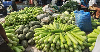 উৎপাদন বেশি হওয়ায় ঠাকুরগাঁওয়ে পানির দামে সবজি
