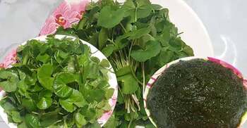 পরিচিত শাকে লুকিয়ে আছে অচেনা উপকার