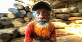 করাতের শব্দে হারিয়ে যায় জীবনের নিরাপত্তা