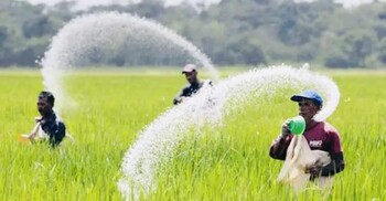 কানাডা-সৌদি আরব থেকে ৩৭৫ কোটি টাকায় আসবে ৮০ হাজার টন সার