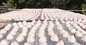 কুমড়ার বড়ি তৈরিতে ব্যস্ত নড়াইলের নারীরা