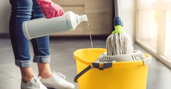 ঘরোয়া এক উপাদানে পুরো বাড়ি পরিষ্কার করার উপায়