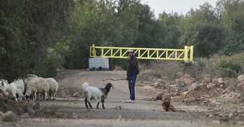 সিরিয়ার ২ এলাকা দখল, অস্থায়ী চেকপয়েন্ট বসিয়েছে ইসরায়েল
