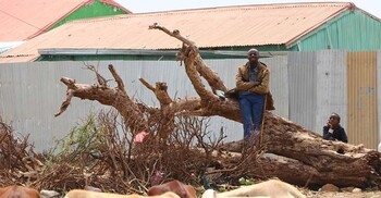 ইসরায়েলের স্বীকৃতি নিয়ে ২১ আরব-আফ্রিকান দেশের নিন্দা ও প্রত্যাখান