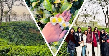 শীতের ভ্রমণে এক টুকরো চায়ের রাজ্য