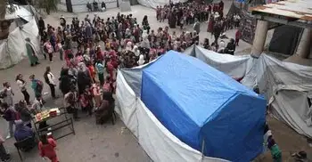 যে কোনো সময় লাগতে পারে গুলি, এরপরও স্কুলে যাচ্ছে গাজার শিশুরা