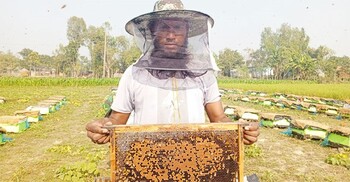 করোনাকালে চাকরি হারিয়ে মৌচাষে সফল শাহ আলম