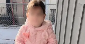 ২ বছরের শিশুকে আটক করে ভিনরাজ্যে পাঠালো ট্রাম্পের আইসিই বাহিনী