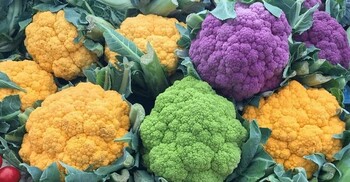 সাদা নয়, রঙিন ফুলকপিই বেশি স্বাস্থ্যকর