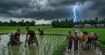 বজ্রপাতে মৃত্যু বাড়ছেই, আলোর মুখ দেখে না প্রতিরোধে নেওয়া উদ্যোগ