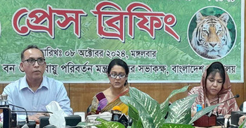 Sundarbans tiger population increases by 11