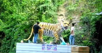 চট্টগ্রামের চেনা টাইগারপাসে ফিরেছে নতুন প্রাণ