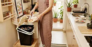 রান্নাঘরে ডাস্টবিন রাখলে কী ধরনের স্বাস্থ্যঝুঁকি তৈরি হতে পারে