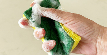 বাসন মাজার স্পঞ্জ পরিষ্কার করবেন যেভাবে