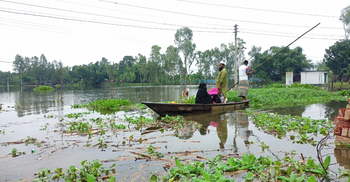 তিস্তায় ফের পানি বেড়েছে, খুলে দেওয়া হয়েছে ৪৪ গেট