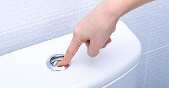 টয়লেট ফ্লাশ করার সঠিক নিয়ম, যা জানলে সুস্থ থাকবেন