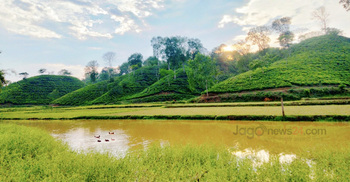 টেকসই পর্যটনের নতুন দিগন্ত টি-ট্যুরিজম