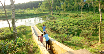 চা-বাগানের ভেতরে লেক, অপরূপ সৌন্দর্যে মুগ্ধ পর্যটকরা