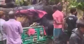 Woman injured as tree falls on vehicles during rain in dhanmondi