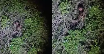 ‘৩ সেকেন্ডে’ ৩০ ফুট গাছের মগডালে যুবক, নামানো হলো আজান দিয়ে