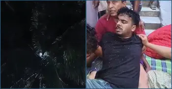 রাতের আঁধারে নারিকেল গাছের চূড়ায় তরুণ, উদ্ধার করলো ফায়ার সার্ভিস