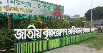 জমজমাট জাতীয় বৃক্ষমেলা, ১৮ দিনে ৭ লাখ চারা বিক্রি